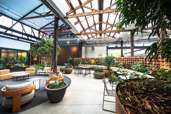 Harbour Enhances Sydney's Latest Hidden Gem: Rosebery Engine Yards