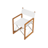 Sydney Dining Chair | High Gloss Teak, Sorrento Stripe Sky, No Welt